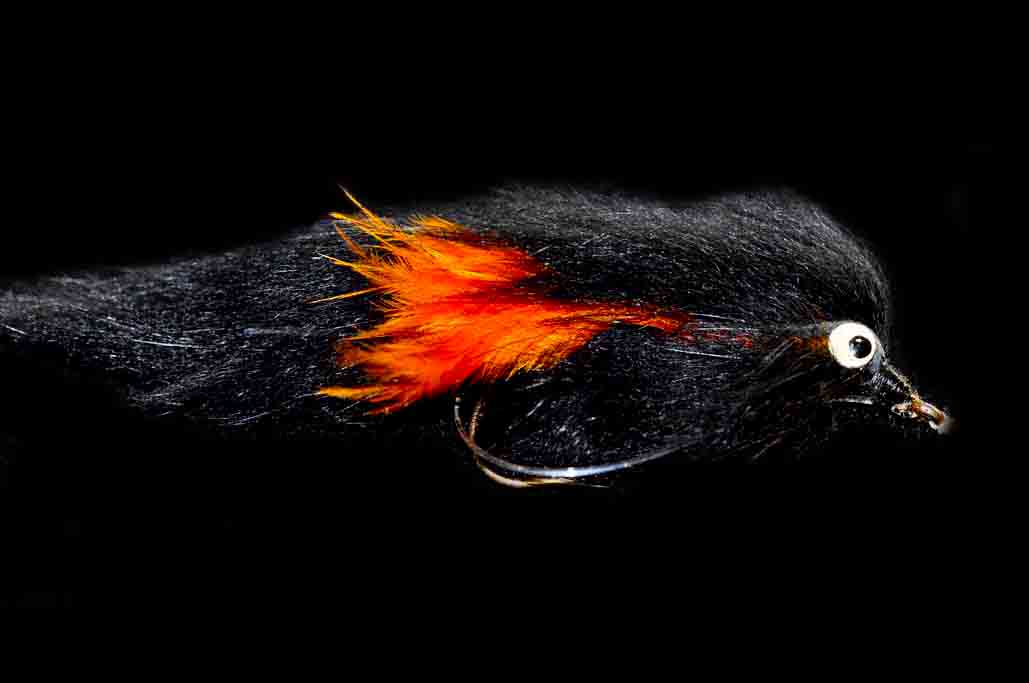 Fly Fishing South Africa Fly Fishing for Largemouth Yellowfish